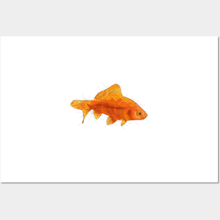 Goldfish Posters and Art